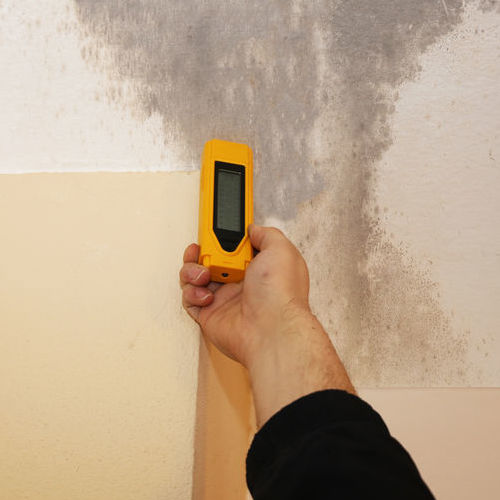 A Technician Checks the Moisture Level Behind a Wall.