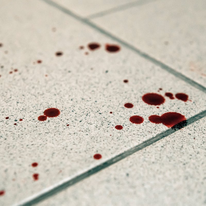 close-up of spilled blood on a tile floor