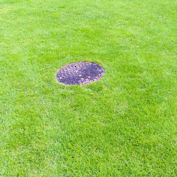 grass and sewer lid